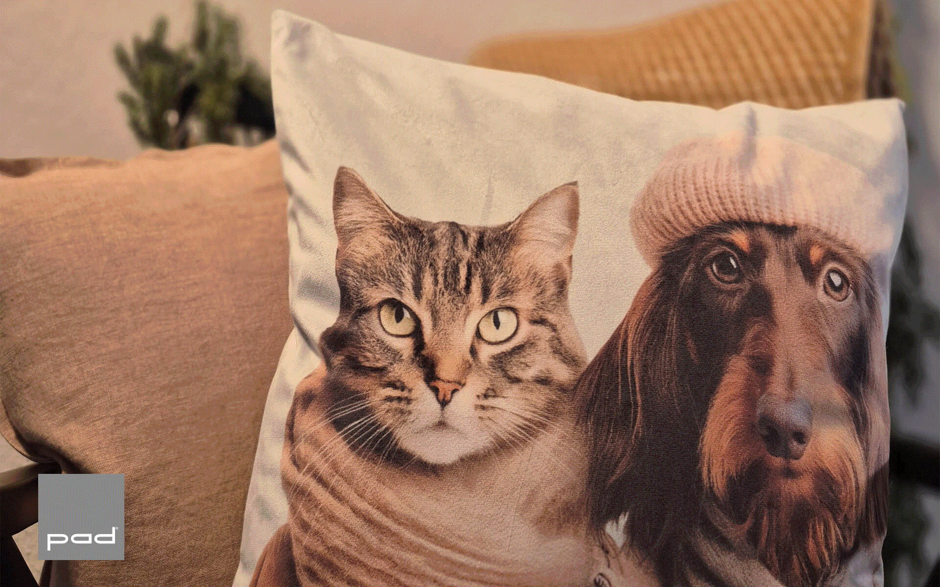 Ein Kissen zeigt einen Kater und einen Hund, perfekt für Ottensmeyer Wohndesign und gemütliche Einrichtung.